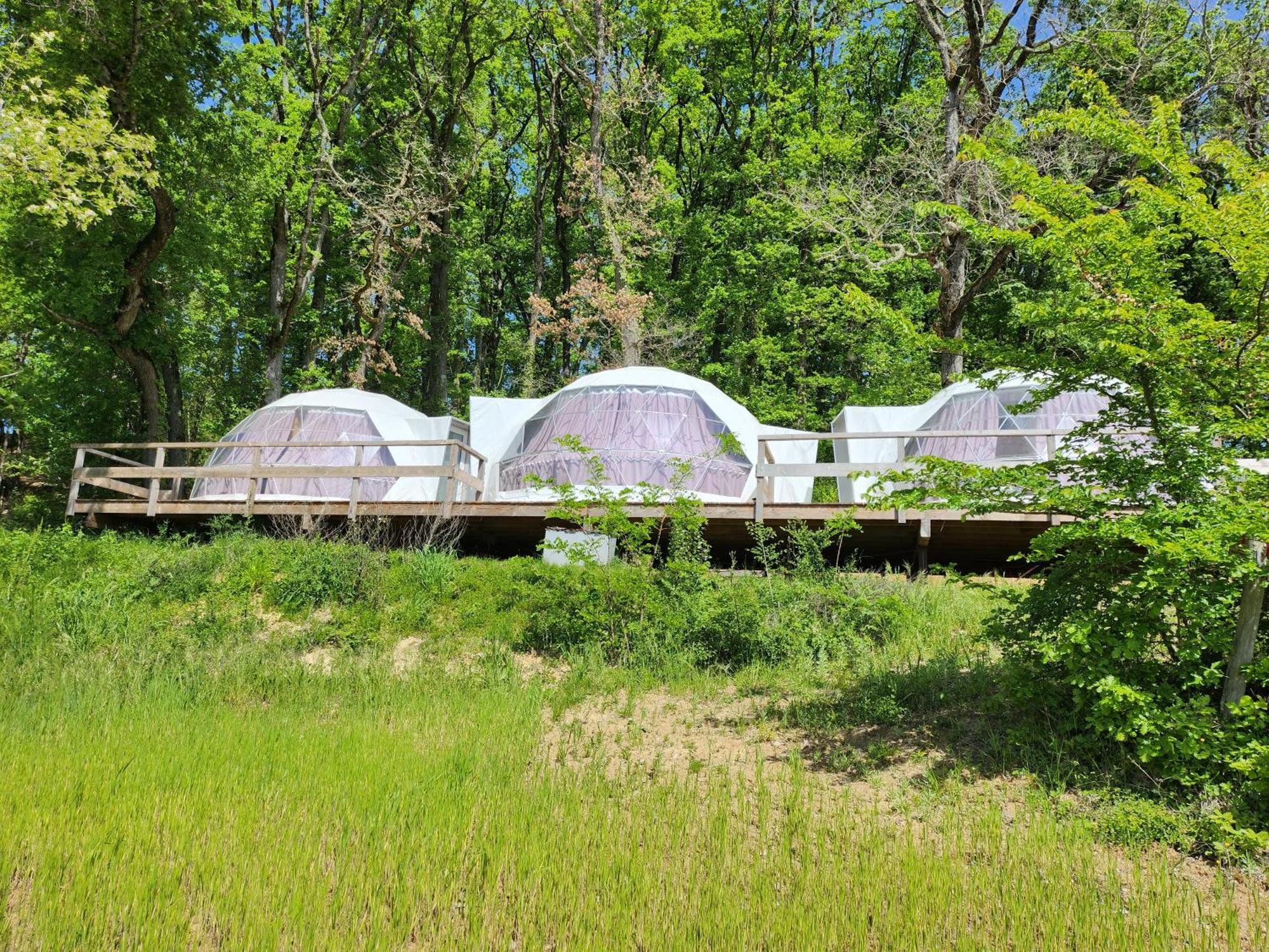 Domaine De Massoulac Molières Exteriér fotografie