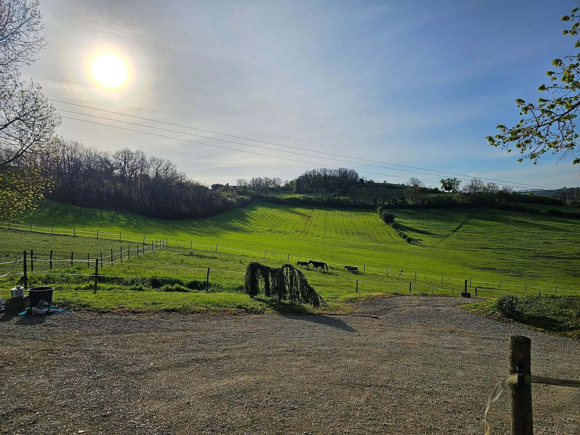 Domaine De Massoulac Molières Exteriér fotografie