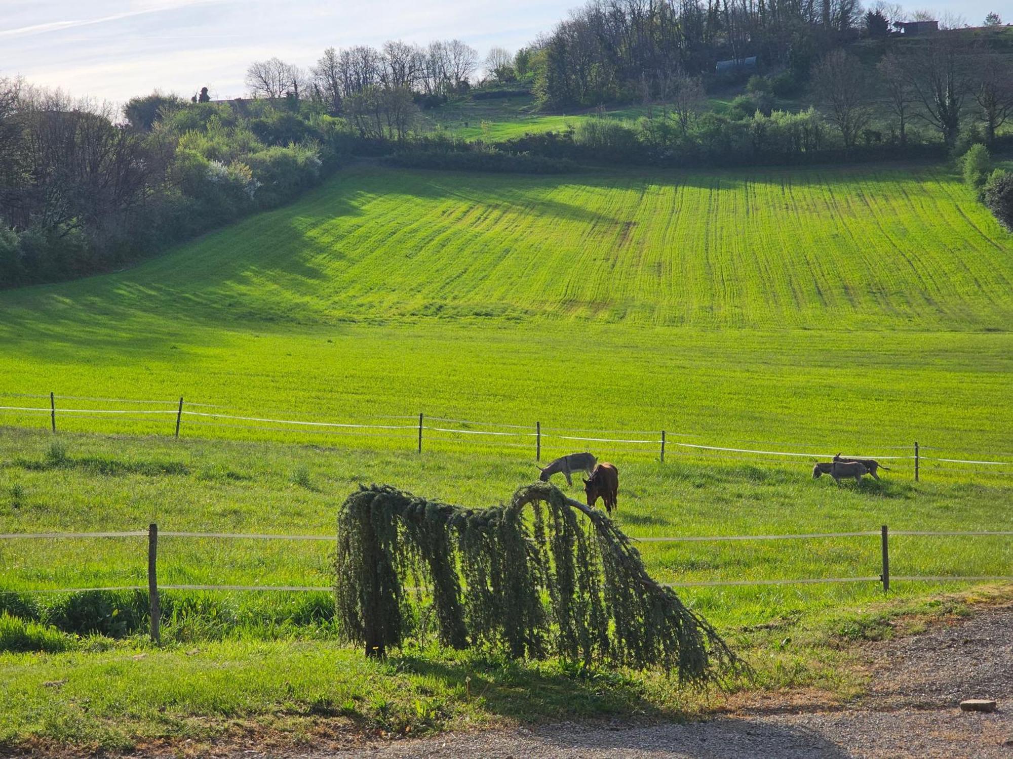 Domaine De Massoulac Molières Exteriér fotografie
