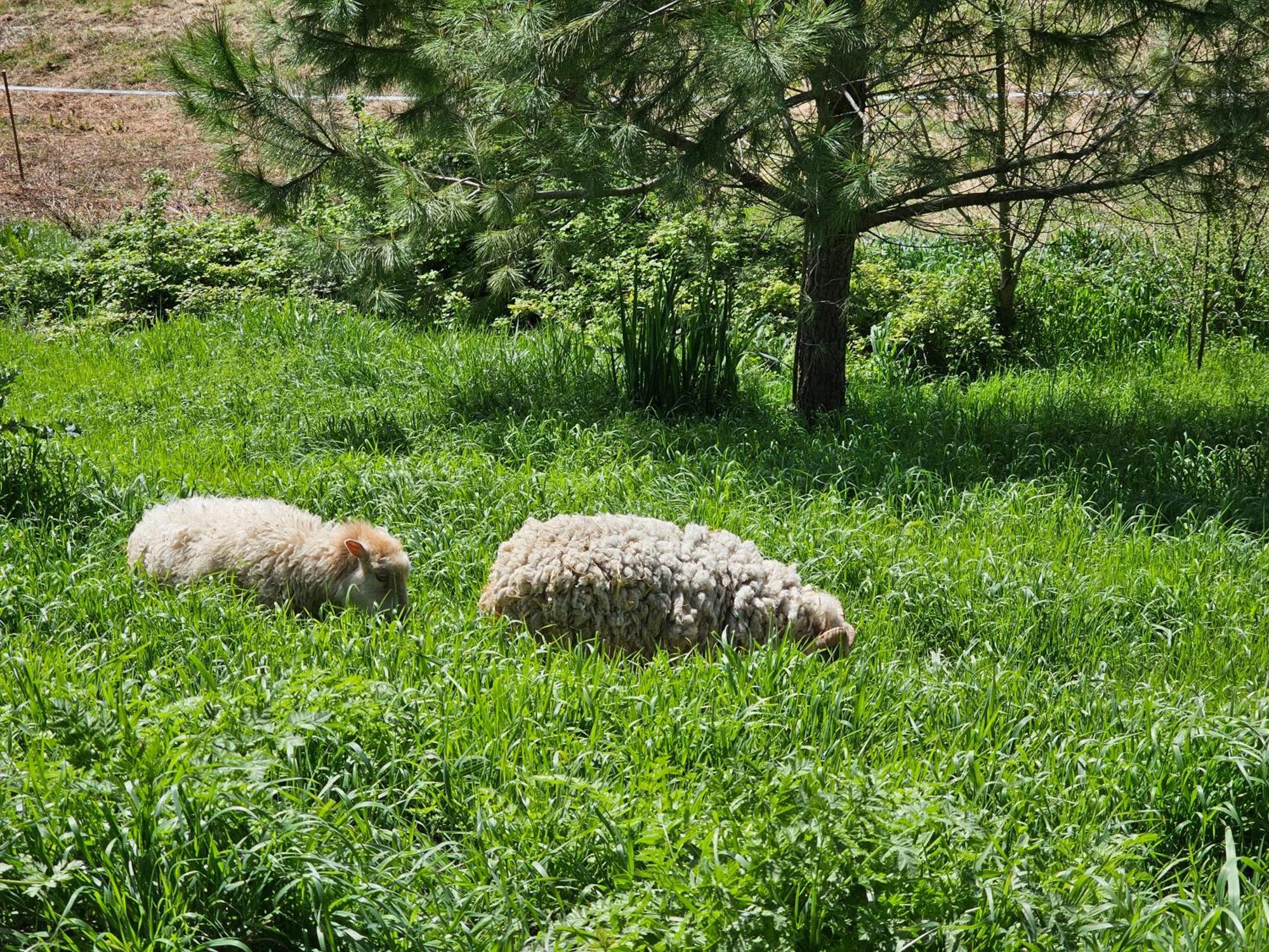 Domaine De Massoulac Molières Exteriér fotografie